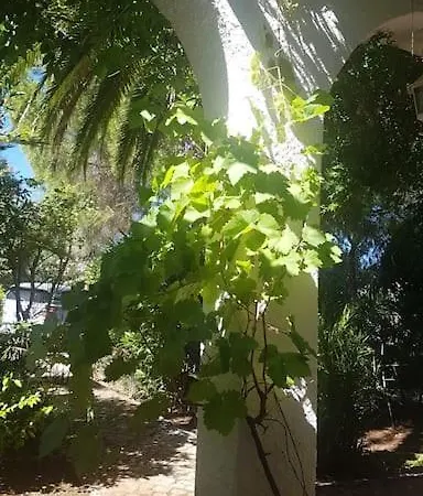 Casa Lorenzo With Tennis Court & Swimming Poolen Βίλα